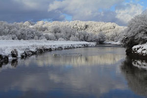 The River Taw in Winter